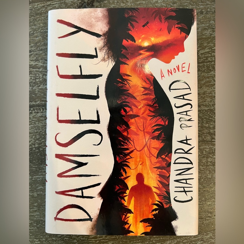 Scholastic Damselfly Novel - Red and Black Cover